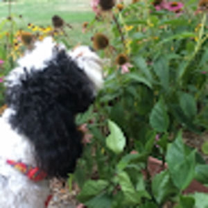 Meet your Posher, Mandy